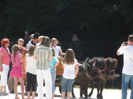 9. tradicionalno srečanje članov Rejniškega društva Slovenije 19